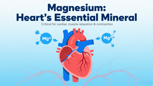 Magnesium: The Heart's Best Friend You Might Be Missing