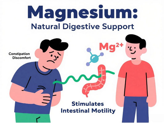 Magnesium and Digestion: The Secret to Keeping Things Moving