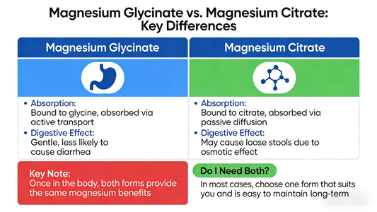 Magnesium Glycinate vs Citrate: What’s the Difference and Do You Need Both?