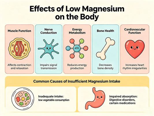 What Happens When Magnesium Is Low? Understanding Magnesium’s Role in the Body